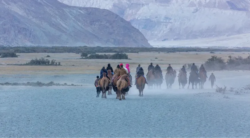 A panoramic view of Nubra Valley in Ladakh featuring sand dunes, the Shyok River, and snow-capped Himalayan mountains under a clear blue sky.