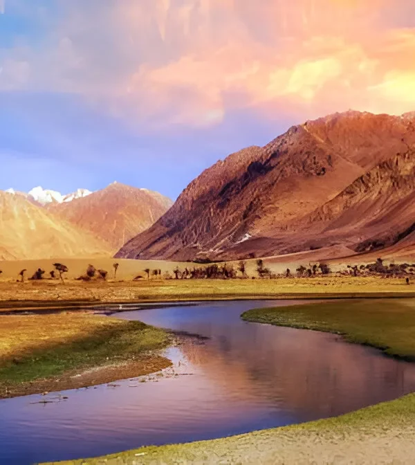A winding river stream flowing through the high-altitude cold desert of Nubra Valley, Ladakh, with a double-humped Bactrian camel resting near the bank, surrounded by massive rugged brown mountains under a vibrant sunset sky.