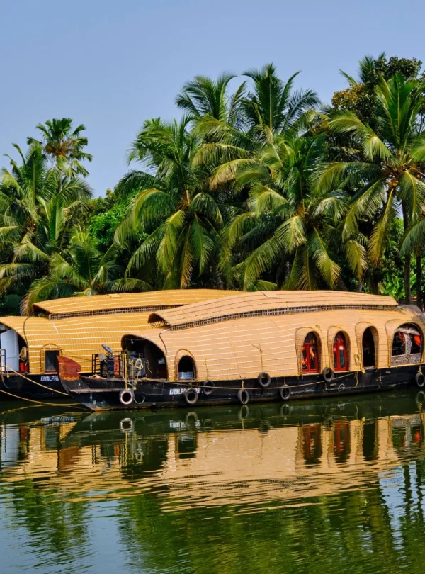 A traditional wooden houseboat cruising on the calm, green backwaters of Alleppey, Kerala, surrounded by lush coconut palm trees reflecting on the water surface.